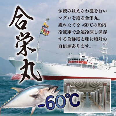 【船元直送】厳選天然本マグロ豪華定期便【全5回】