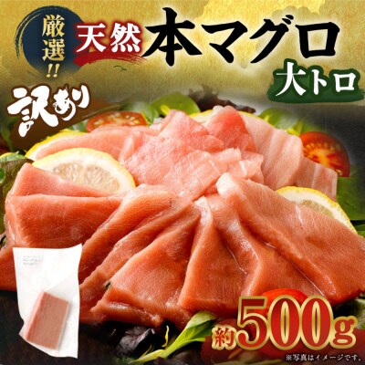 厳選天然本マグロ　大トロたっぷり500g【数量限定】