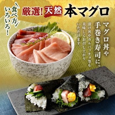 厳選天然本マグロ　大トロたっぷり500g【数量限定】