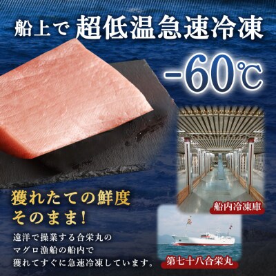 厳選天然本マグロ　大トロたっぷり500g【数量限定】