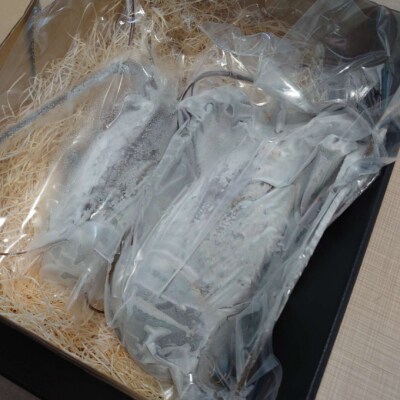 【漁師直送】活〆-60℃冷凍伊勢海老　1kg以上　2～3尾　2～3人前