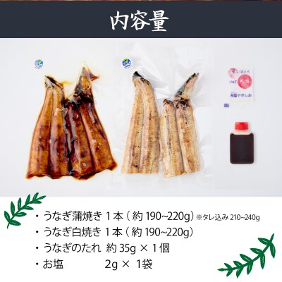 初音の高知県産うなぎ蒲焼きと白焼きセット　鰻