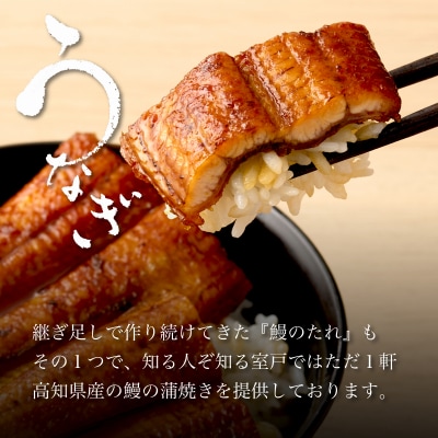 初音の厳選高知県産うなぎ蒲焼き2尾