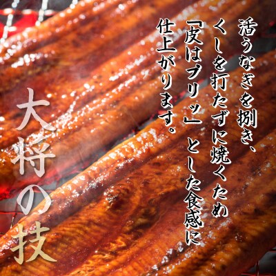 初音の厳選高知県産うなぎ蒲焼き2尾