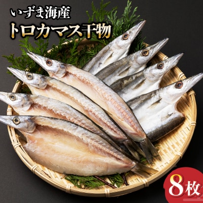 トロカマス干物セット(8枚)