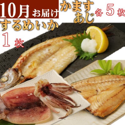 室戸流藁焼きタタキと地魚干物セット定期便6回B(年6回・偶数月お届け)
