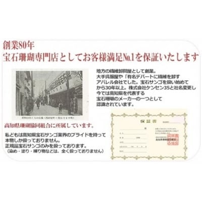 【宝石サンゴ】白珊瑚本連数珠(男性用)