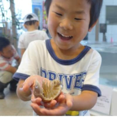 「深海王国」室戸からお届けする「活オオグソクムシ」【3匹】