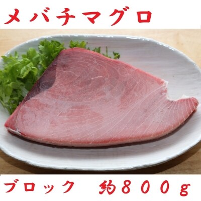 厳選メバチマグロブロック800g【誉丸】