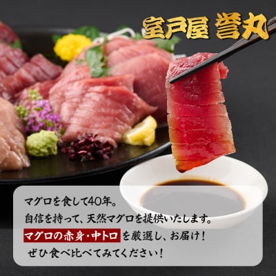 厳選メバチマグロ赤身、中トロ食べくらべ【誉丸】