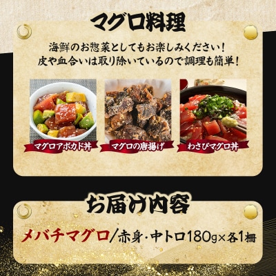 厳選メバチマグロ赤身、中トロ食べくらべ【誉丸】