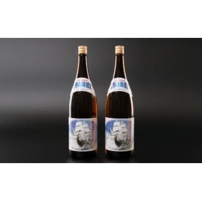 本格米焼酎(25度)龍馬の海援隊1800ml×2本