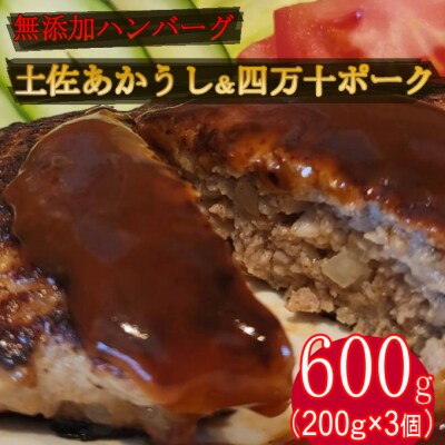 ハンバーガー屋の本気メガハンバーグ600g(200g×3個) ＜ 国産 高知県産 牛肉 豚肉