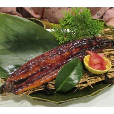 土佐の鰹タタキ片身とうなぎ蒲焼きセット