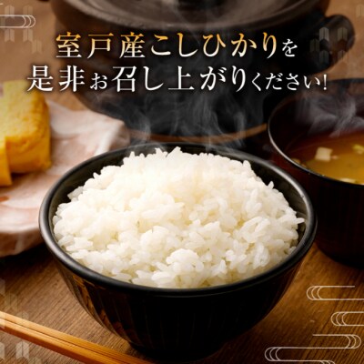 【令和5年産】室戸産新米コシヒカリ　20kg