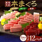 お刺身ちょこっとパック　食べ比べ12パック【水産事業者支援・規格外・訳あり】 中トロ 大トロ セット