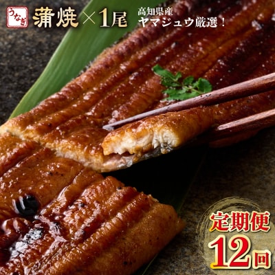 ヤマジュウ厳選!国産蒲焼き1尾【12回定期便】