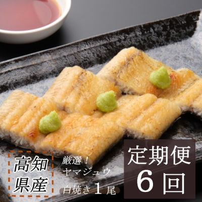 ヤマジュウ厳選!国産うなぎ白焼き1尾【6回定期便】