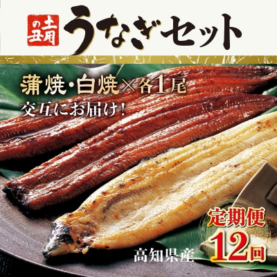 蒲焼き・白焼きを交互にお届け!国産うなぎ1尾【全12回定期便】