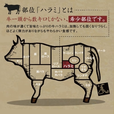 ヤマジュウの特製タレ漬け!牛ハラミ肉1kg
