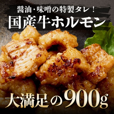 ヤマジュウの特製タレ漬け!国産牛ホルモン900g