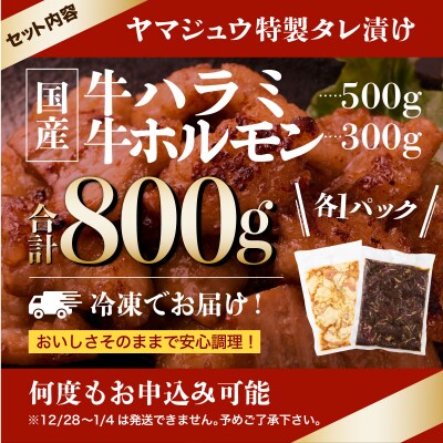 ヤマジュウの特選タレ漬け!牛ハラミ肉500g&国産牛ホルモン300g