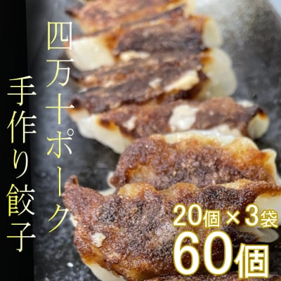 ヤマジュウの特選!四万十ポーク手作り餃子60個