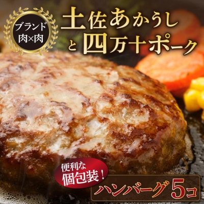 土佐あかうしと四万十ポークのハンバーグ　5個セット