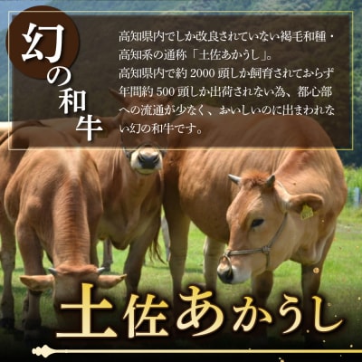 土佐あかうしと四万十ポークのハンバーグ　5個セット