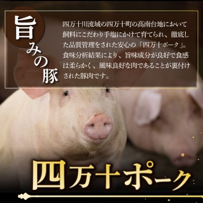 土佐あかうしと四万十ポークのハンバーグ　5個セット