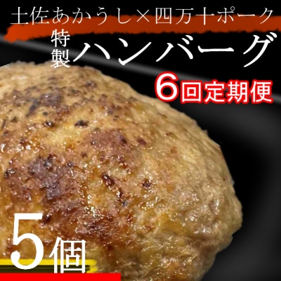 土佐あかうしと四万十ポークのハンバーグ5個セット【6回定期便】
