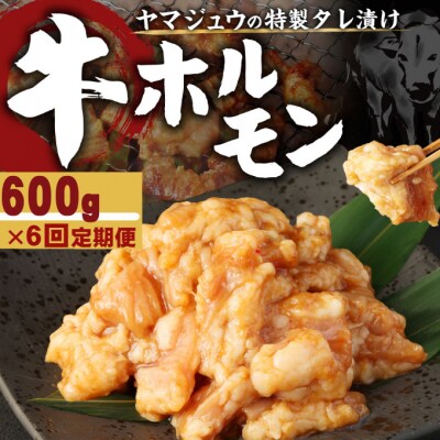 ヤマジュウの特製タレ漬け!国産牛ホルモン600g【6回定期便】