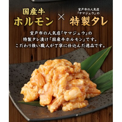 ヤマジュウの特製タレ漬け!国産牛ホルモン600g【6回定期便】