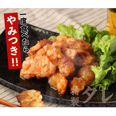 ヤマジュウの特製タレ漬け!国産牛ホルモン600g【6回定期便】