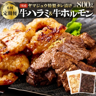 ヤマジュウの特選タレ漬け!牛ハラミ肉&国産牛ホルモン計800g【6回定期便】