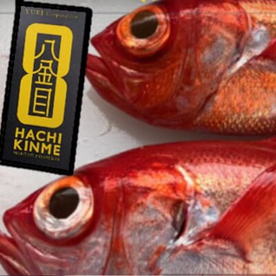 漁師直送　活き〆天然地金目鯛【八金目】600g～800g　1匹