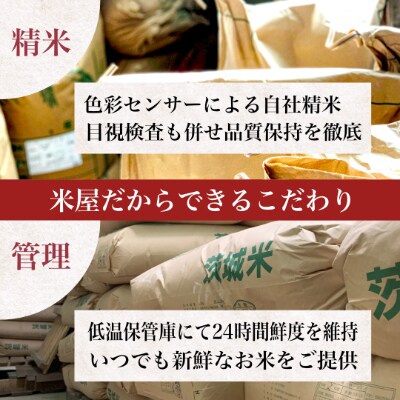 【茨城厳選米】こだわり栽培米コシヒカリ5kg