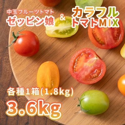 中玉フルーツトマト「ゼッピン娘」&カラフルトマトMIX 1.8kg×各1箱(計3.6kg)