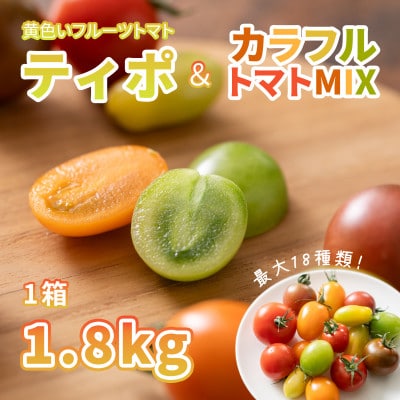 黄色いフルーツトマト「ティポ」&カラフルトマトMIX　計1.8kg(1箱)