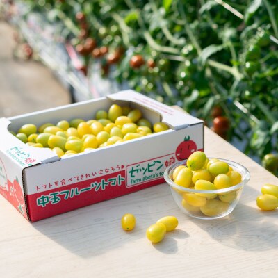 パリッと食感の黄色いフルーツトマト「ティポ」1.8kg(1箱)