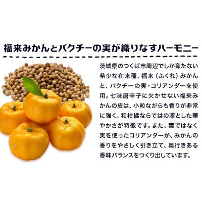 ビール　GIGIMARUホワイト　330ml×6本