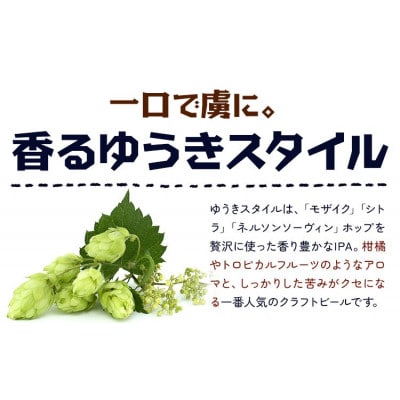 ビール ゆうきスタイルIPA　330ml×3本