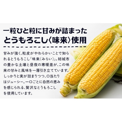 ビール ゆうきみらいエール　330ml×6本