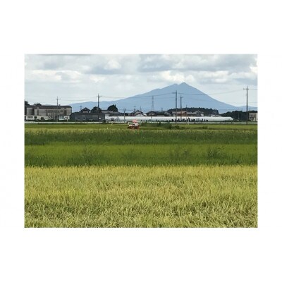 JA米 茨城県結城市産こしひかり精米10kg