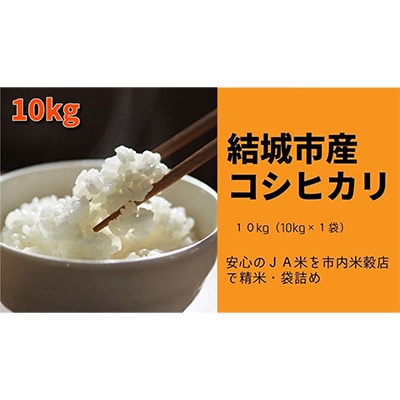 2023年5月発送開始【定期便3ヶ月】JA米 結城市産こしひかり精米