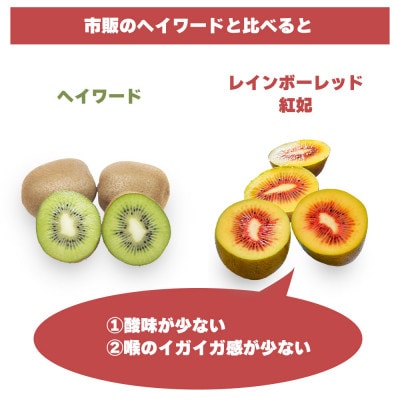 《甘くて美味しい レッドキウイ》 紅妃(こうひ) 400g(約4～5個)×1箱