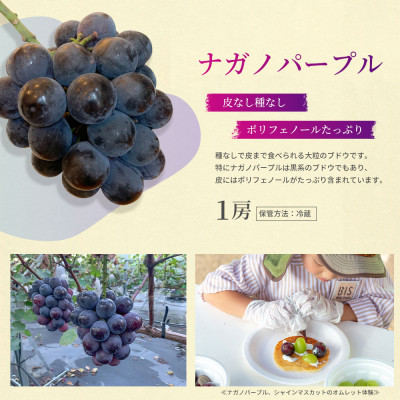 結城アッシーリス農園産 ナガノパープル【特選房】1房約500g