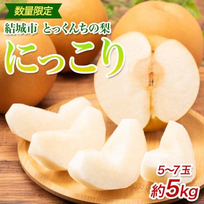 【2026先行予約】とっくんちの梨「にっこり」約5kg