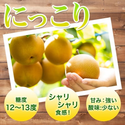 【2026先行予約】とっくんちの梨「にっこり」約5kg