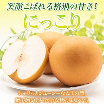 【2026先行予約】とっくんちの梨「にっこり」約5kg